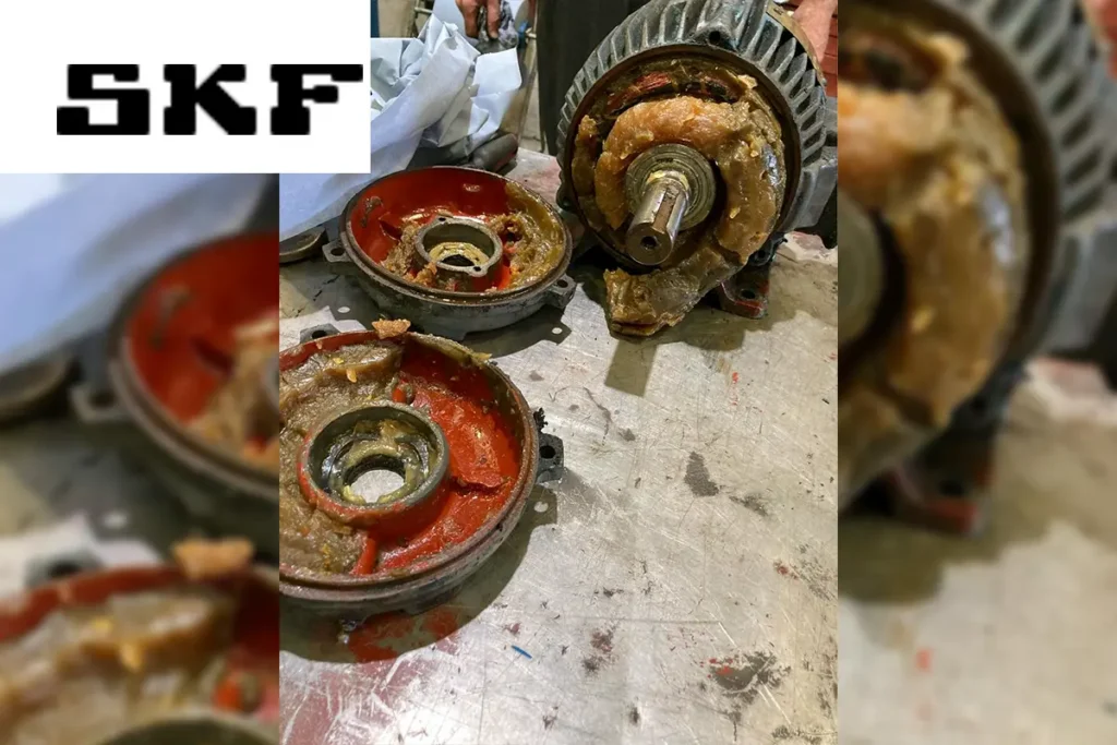 Electrical Motor Lubrication Damage